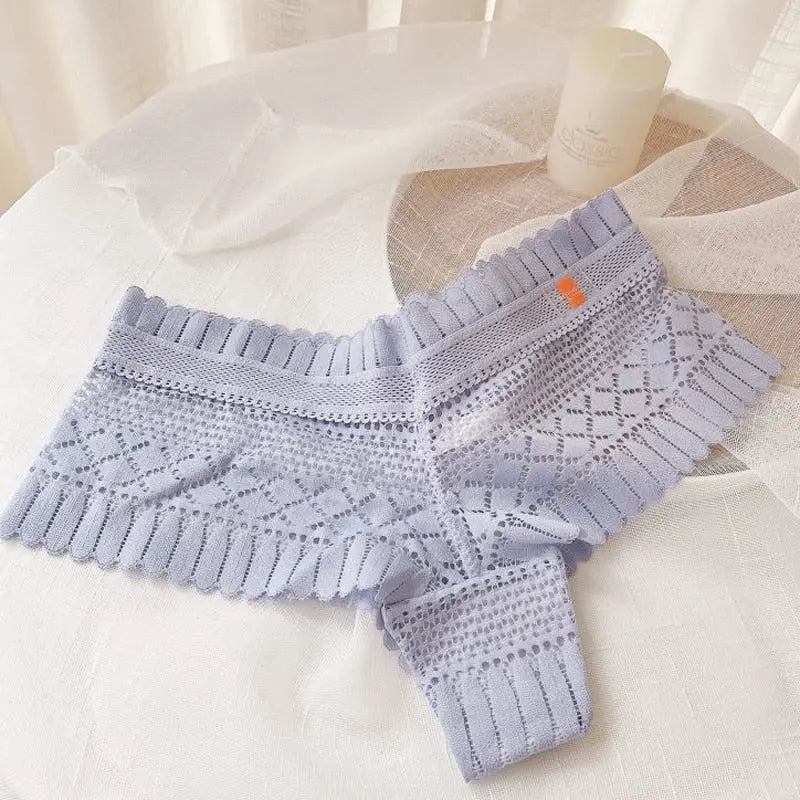 Can't Hide Or Pretend Briefs LacyNighty Panties