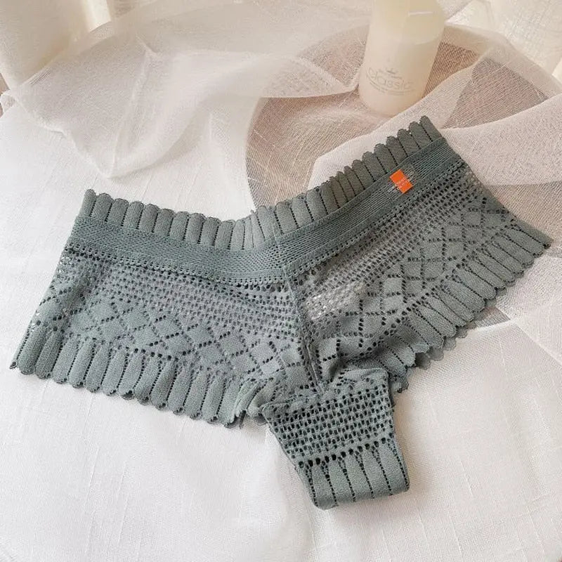 Can't Hide Or Pretend Briefs LacyNighty Panties