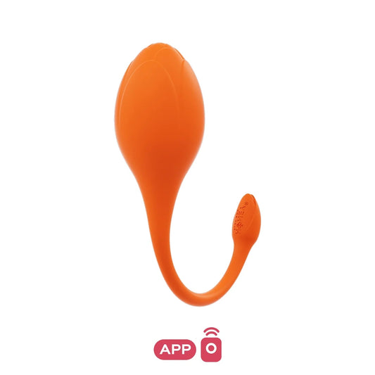 LILI Honey Play Box Vibrators