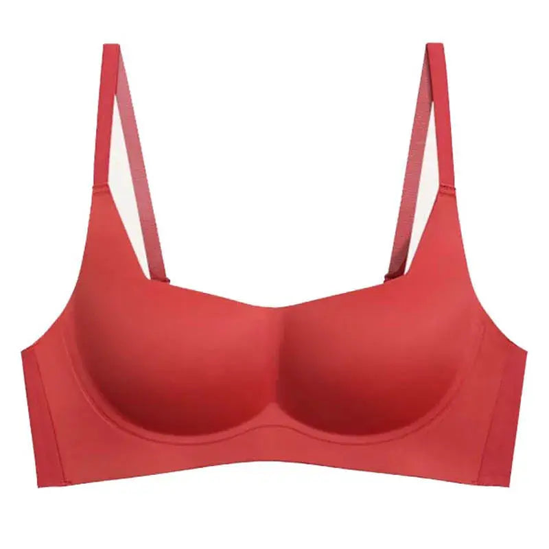 Holding Back The Years Bra LacyNighty Bras