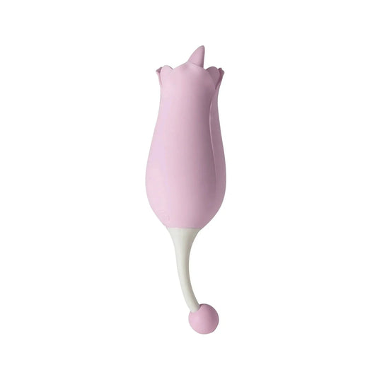 DORA Honey Play Box Vibrators