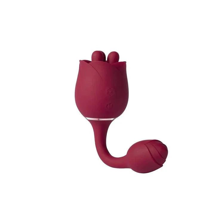 ROSEANN Honey Play Box Vibrators
