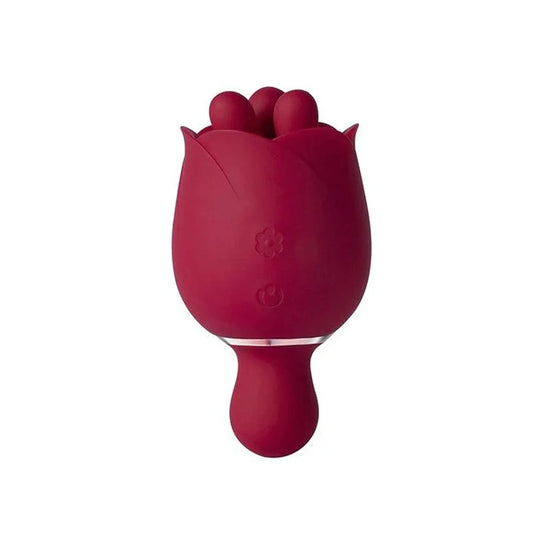 ROSEWYN Honey Play Box Vibrators