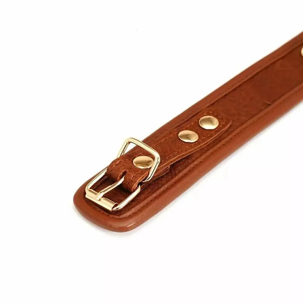 LacyNighty™ Brown Leather Collar & Leash Lavah Intimates harness