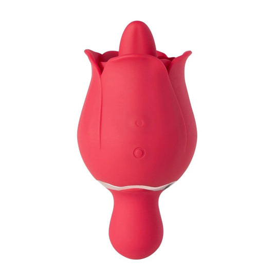 SYLVIA Honey Play Box Vibrators